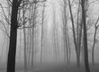 On the Trail of the Witchfinder