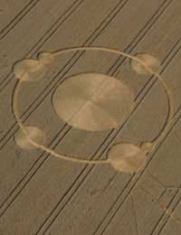 Crop Circles Crop Circle Doug Bower Dave